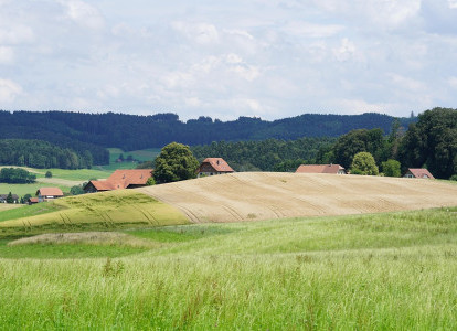Projekt Weiterentwicklung Suisse Garantie